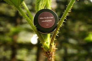 Sitka Devil's Club Salve
