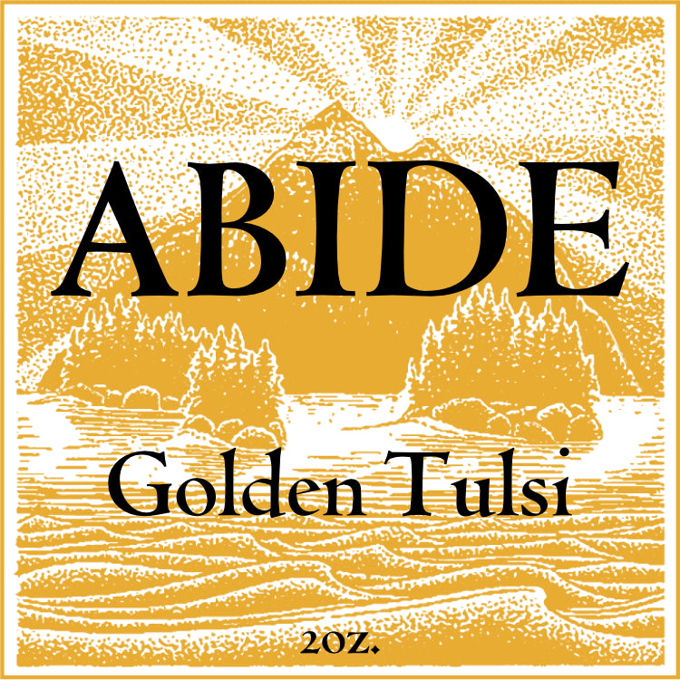 ABIDE Golden Tulsi