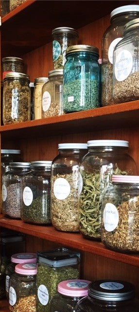 Making Your Own Personalized Medicine: Herbs for Seasonal Wellness -  Sunday March 3rd